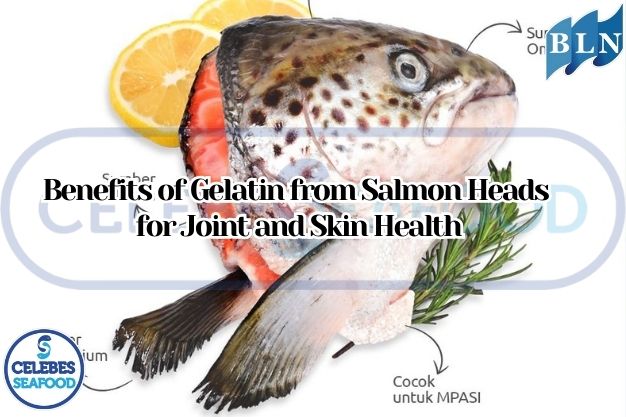 Benefits of Gelatin from Salmon Heads for Joint and Skin Health